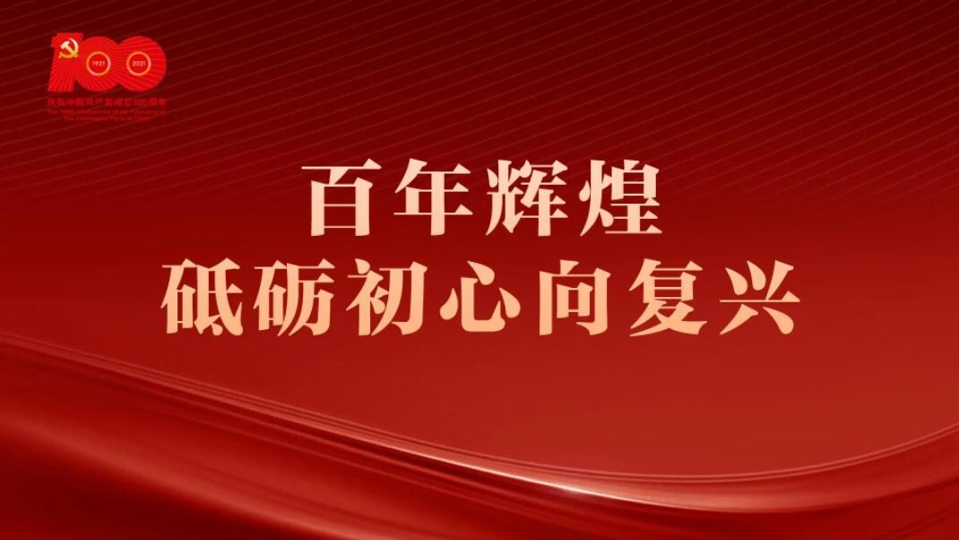 我就《中共中央关于党的百年奋斗重大成